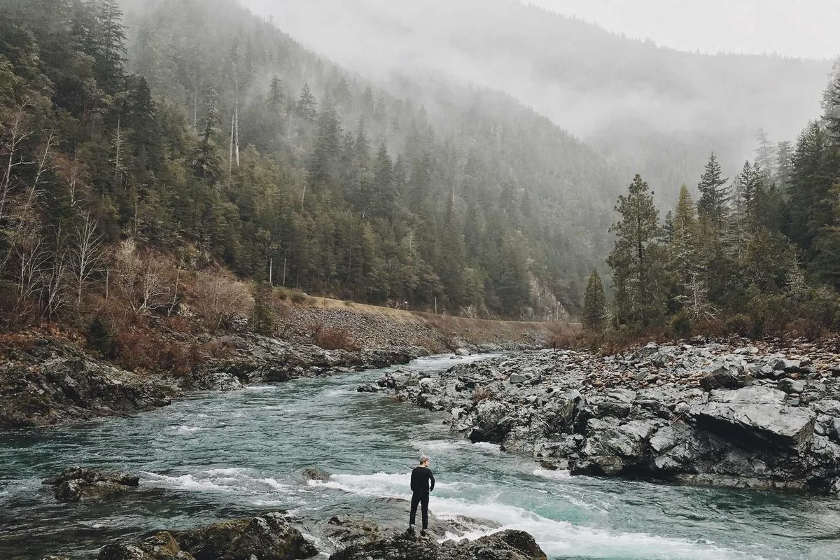 A person standing by a rushing river in a misty forest